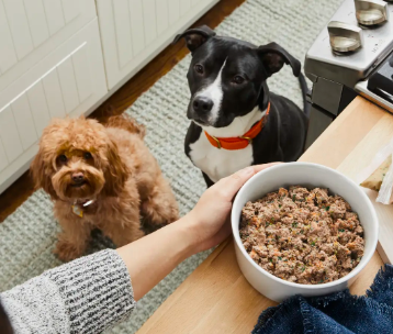 The Farmer's Dog pets