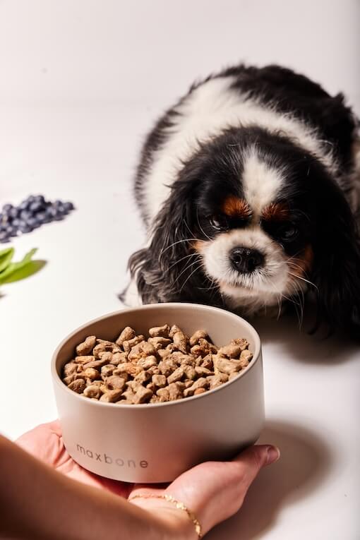 Maxbone freeze-dried food