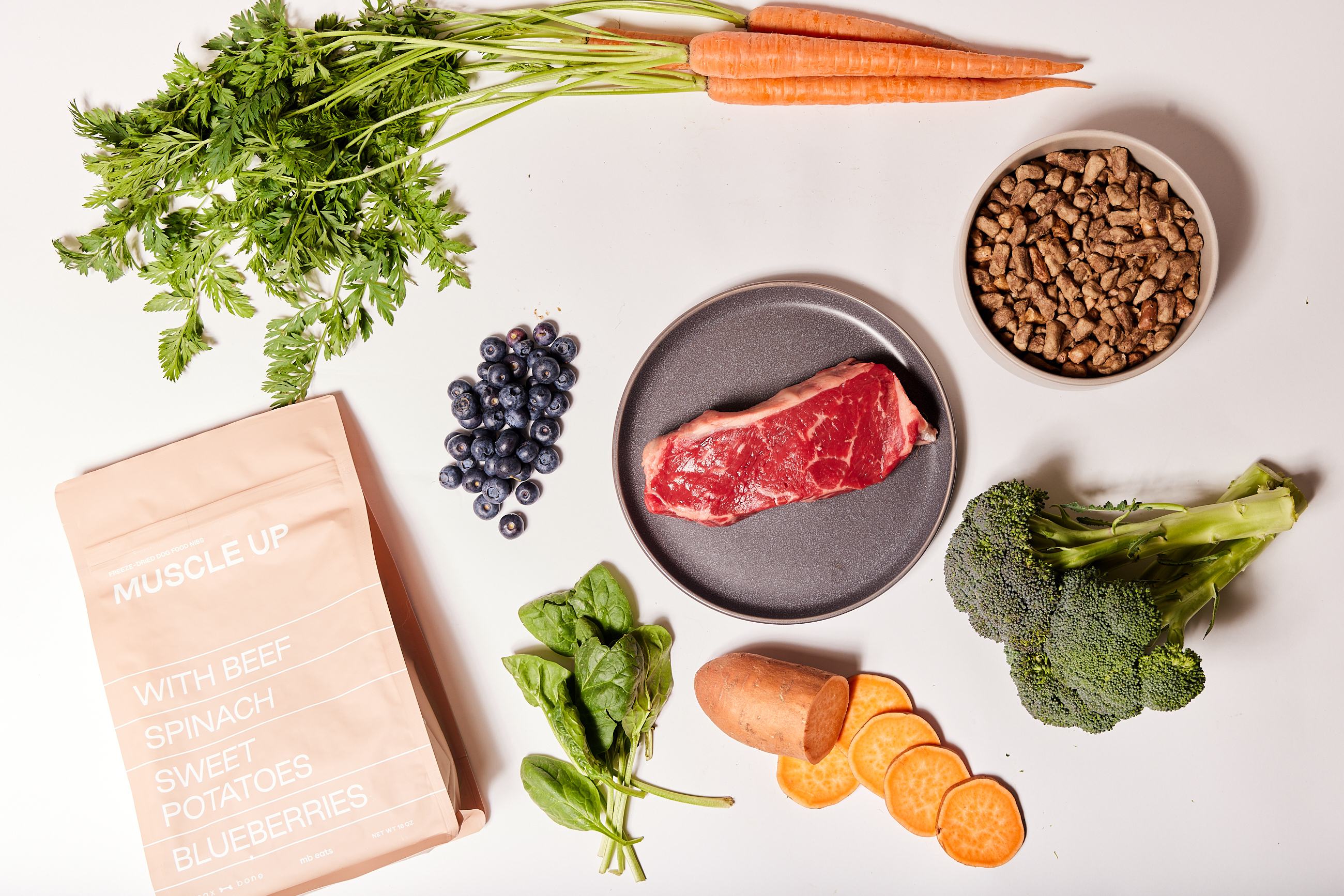 Maxbone product overview